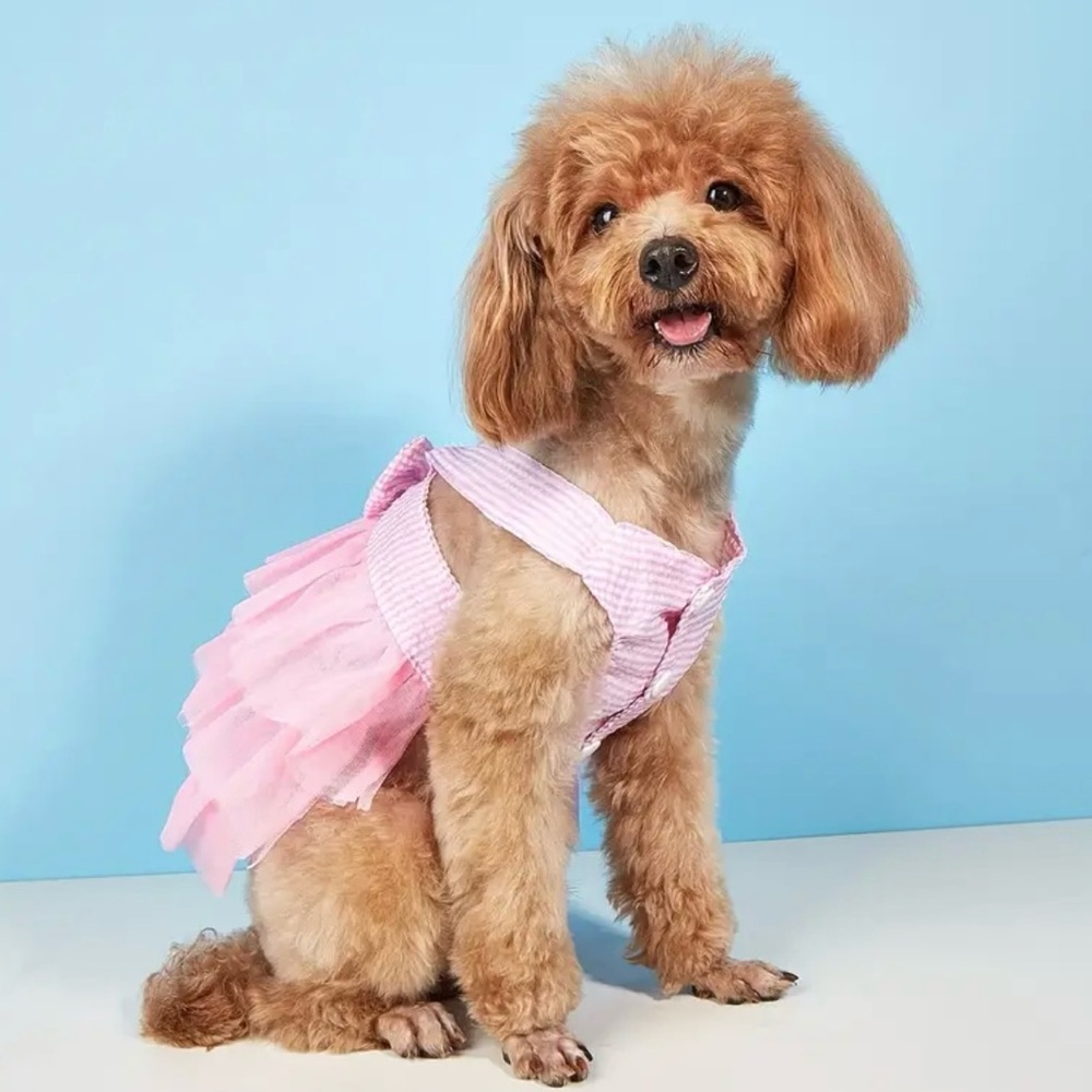 Pet red stripes dress with tutu bow skirt small size - Picture 5 of 6